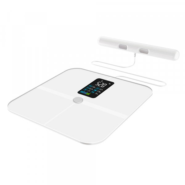 Balança Corporal Bioimpedancia Digital App Bluetooth W610 - Imagem 6