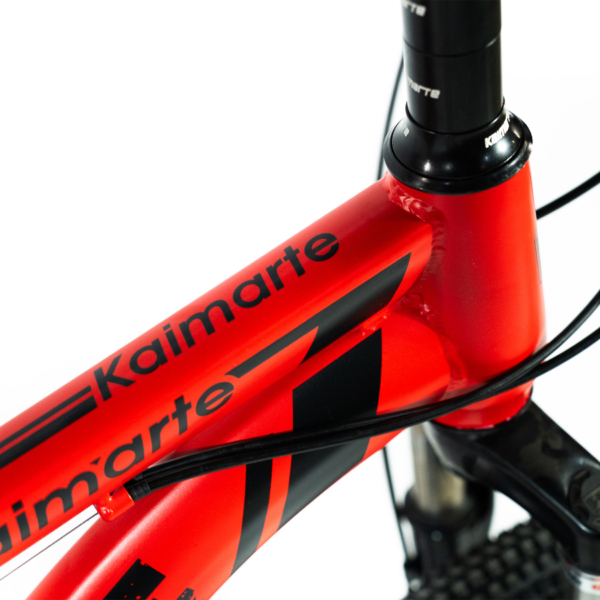 Bicicleta Aro 20 Bike 21 Vel Marchas MiniTrail Freio a Disco Quadro Aço Carbono - WCT FITNESS - Imagem 7