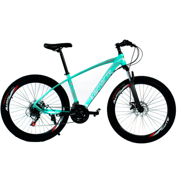 Bicicleta Aro 26 Alumínio Bike 21 Vel Freio a Disco Raiada WCT FITNESS